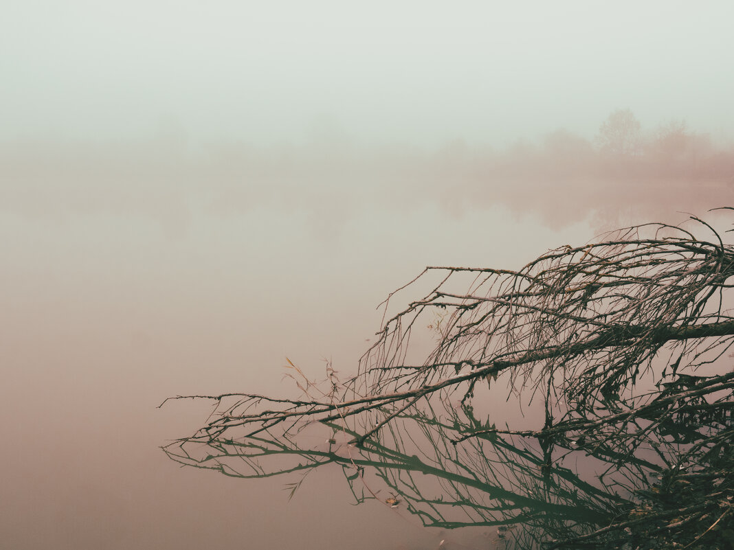 .... - Котовский 