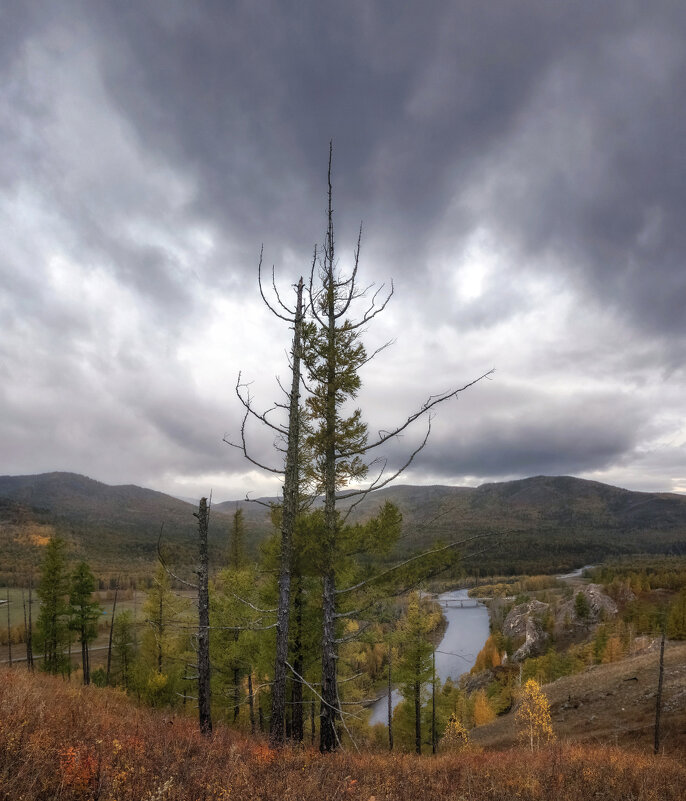 Устремленные ввысь - Марина Фомина. Устремленные ввысь - Марина Фомина.