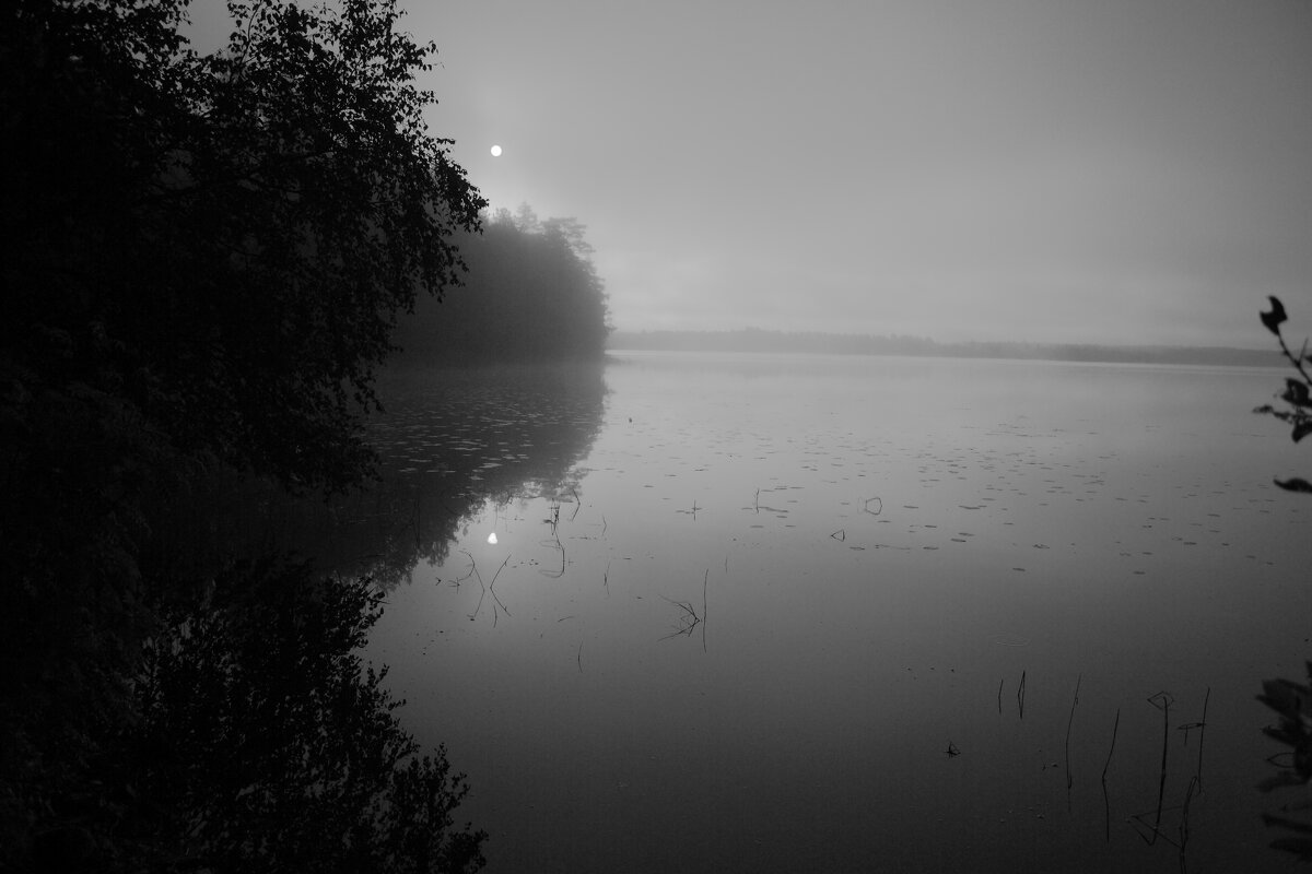 Нега Пробуждения - Валерий Кехтер