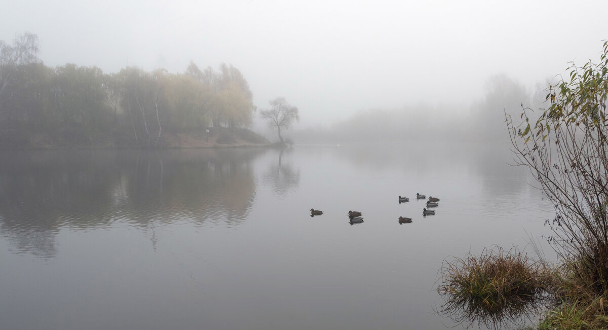 Туман - Владимир Безбородов