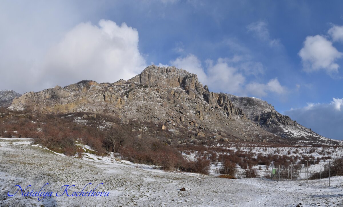 Природа Крыма - Amazing Cosmea