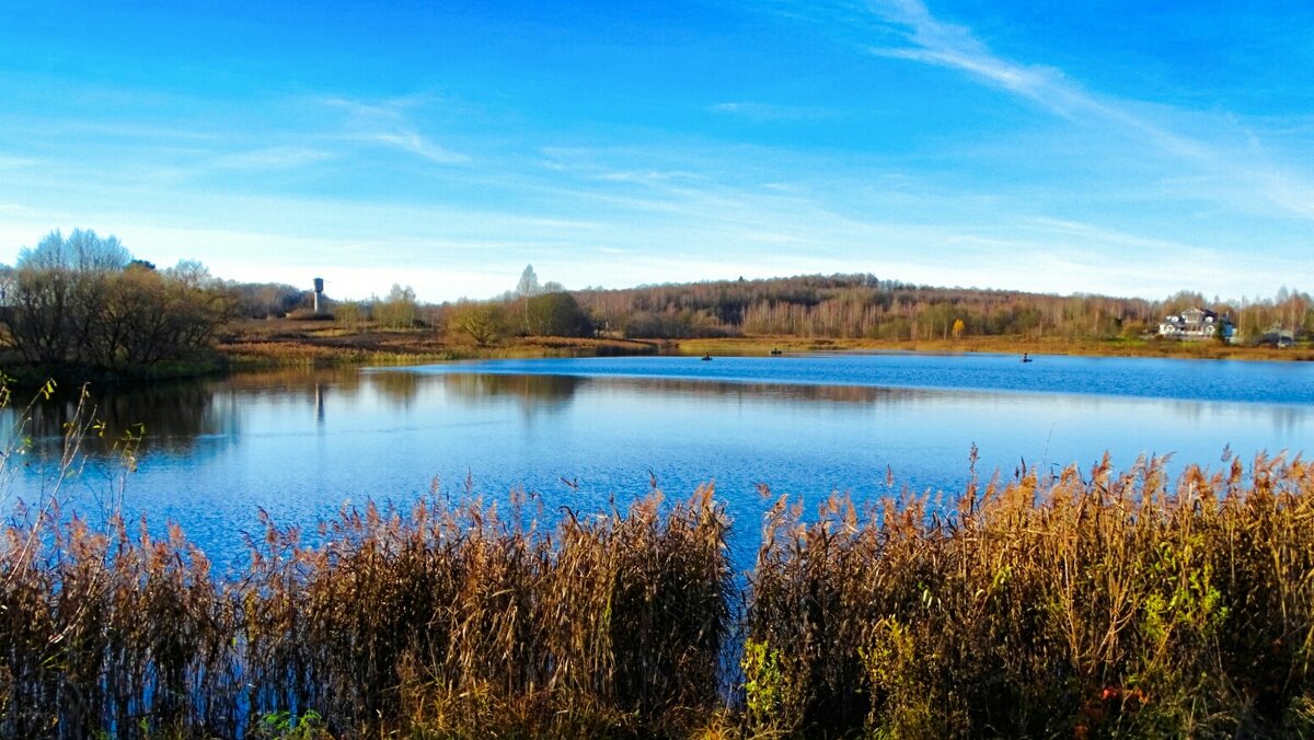 Ноябрь в деревне. - Милешкин Владимир Алексеевич 