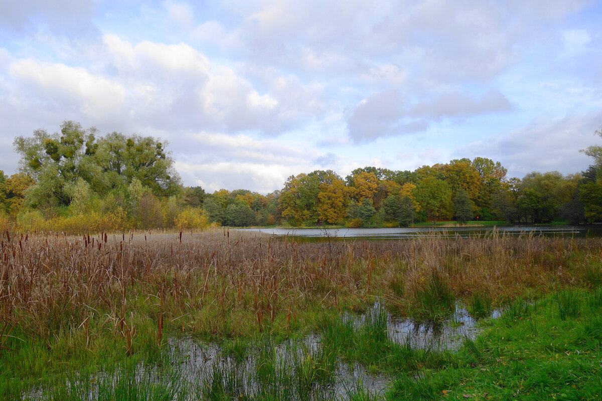 Озеро Лесное, Калининград - Рита Симонова