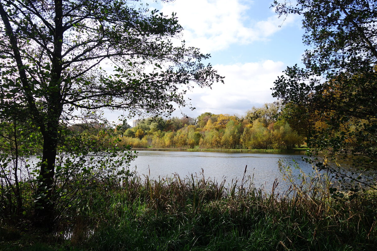Озеро Лесное, Калининград - Рита Симонова