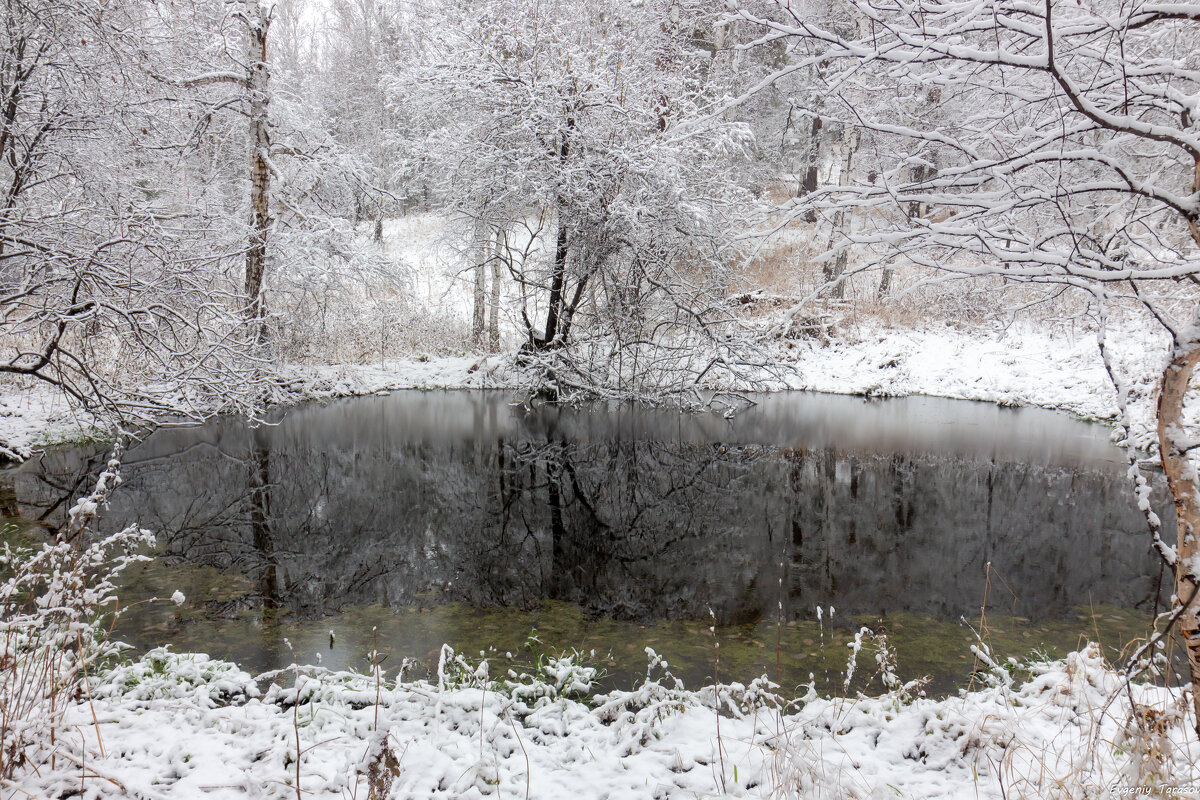 Сказка Вишневых гор - Евгений Тарасов Сказка Вишневых гор - Евгений Тарасов