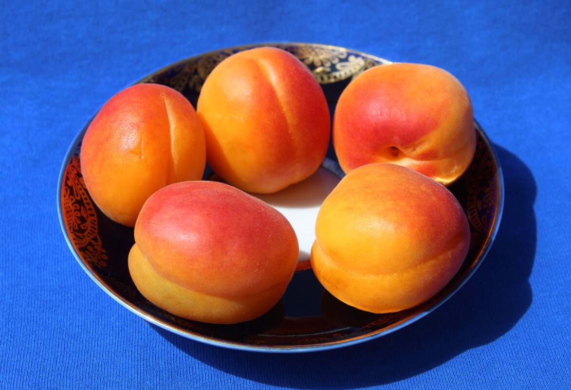 Абрикосы - Владимир Помазан