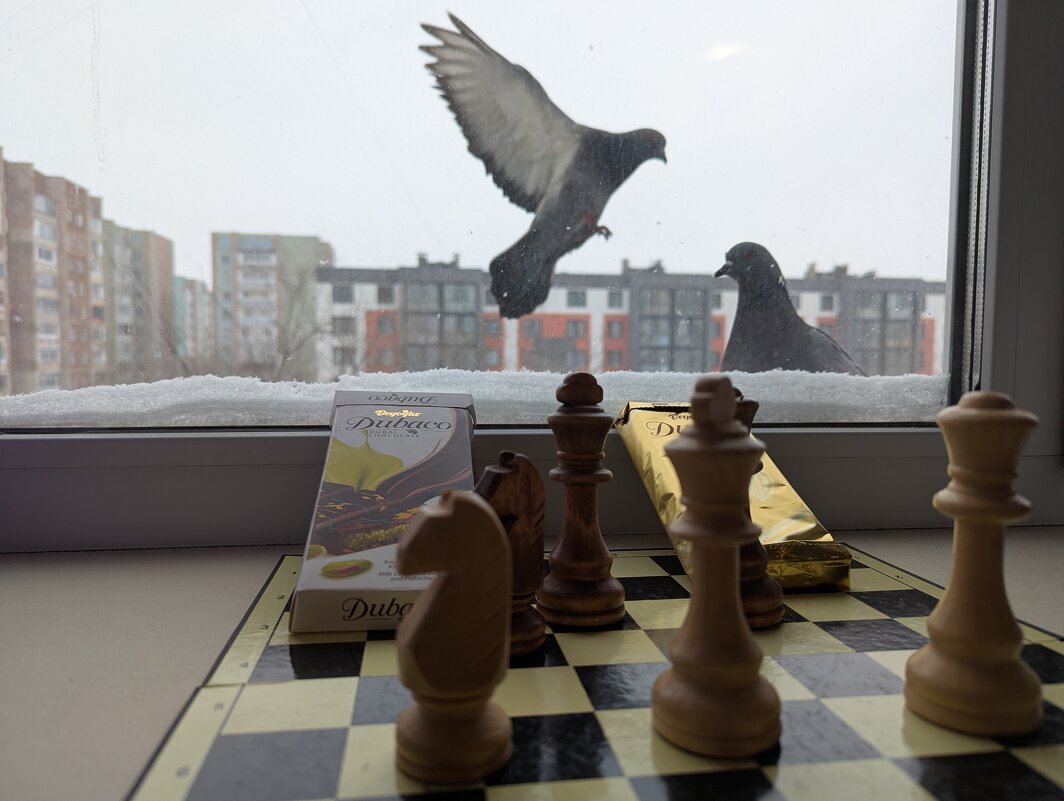 Новый день - Андрей Хлопонин