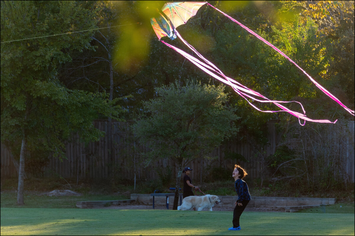 Змей - **** vedin