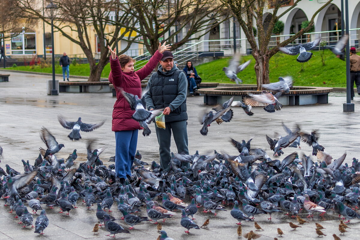 Мир не без добрых людей. - Анатолий. Chesnavik.