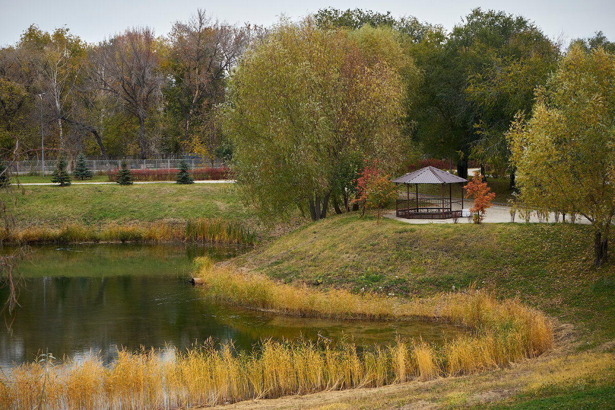 Осень вНовокуйбышевске (дубль 2) - Олег Манаенков