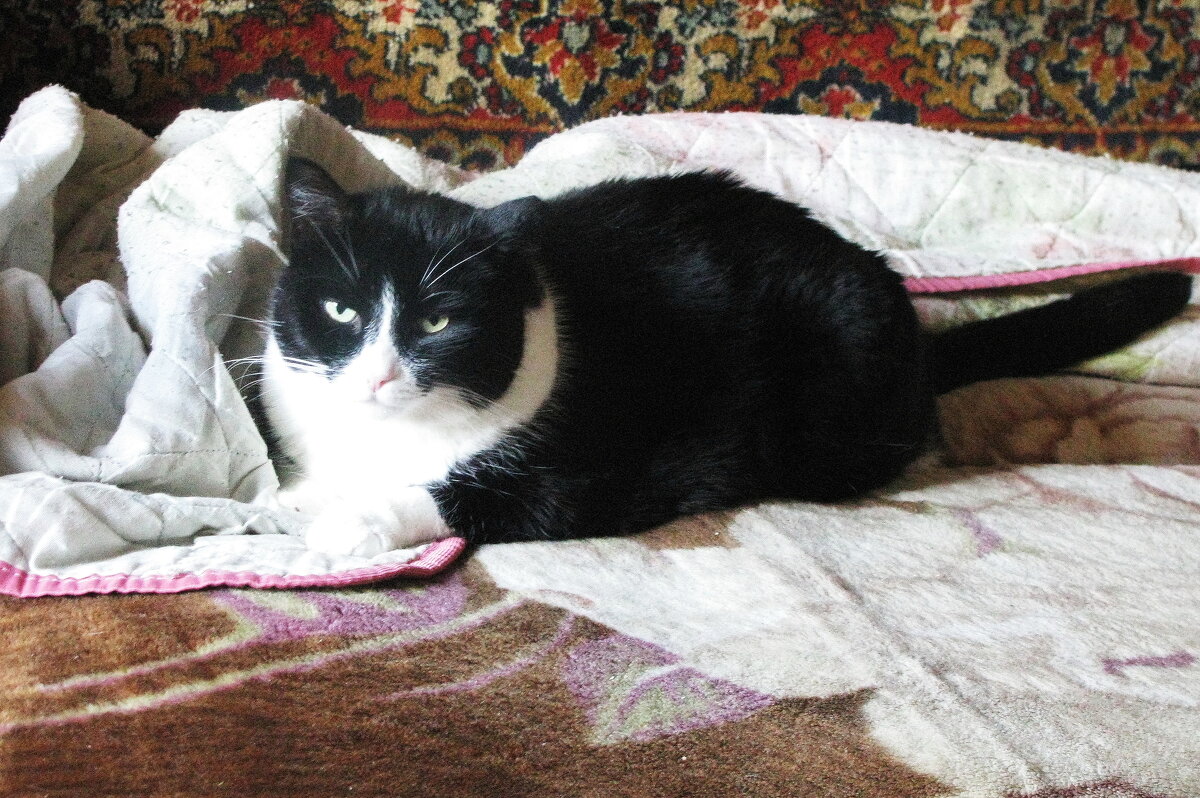 Я проснулся - Людмила Смородинская Я проснулся - Людмила Смородинская