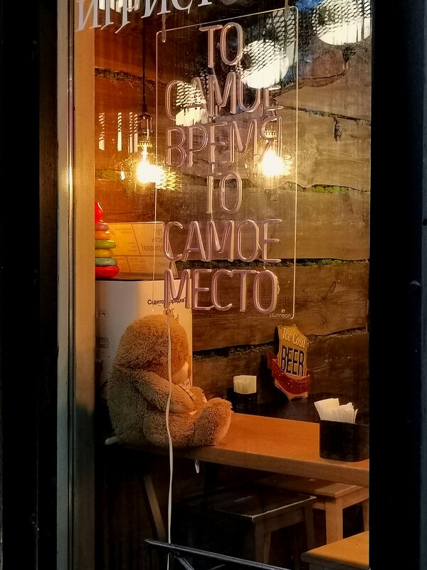 Даже игрушками бывает грустно осенью - Любимова Ольга 