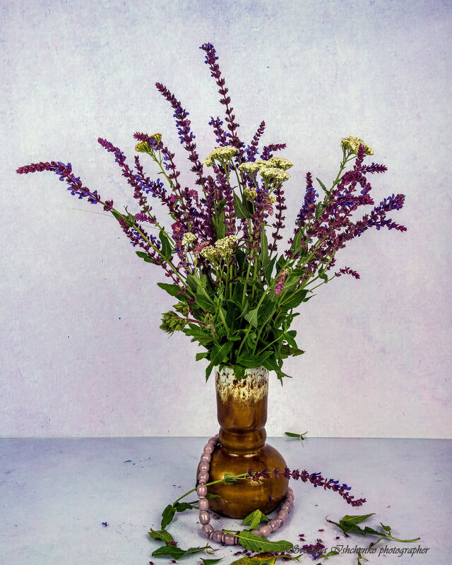 Полевые цветы - Светлана Ищенко