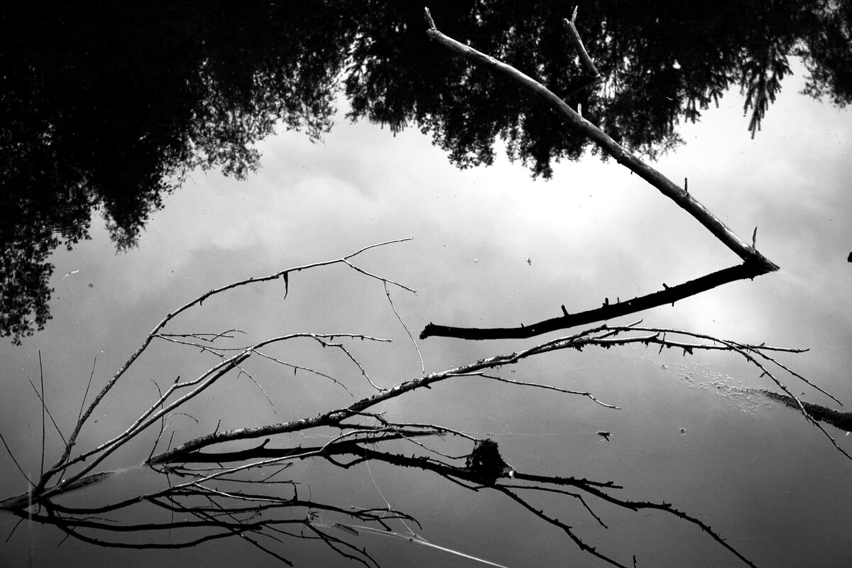 Фотография - Денис Безногов