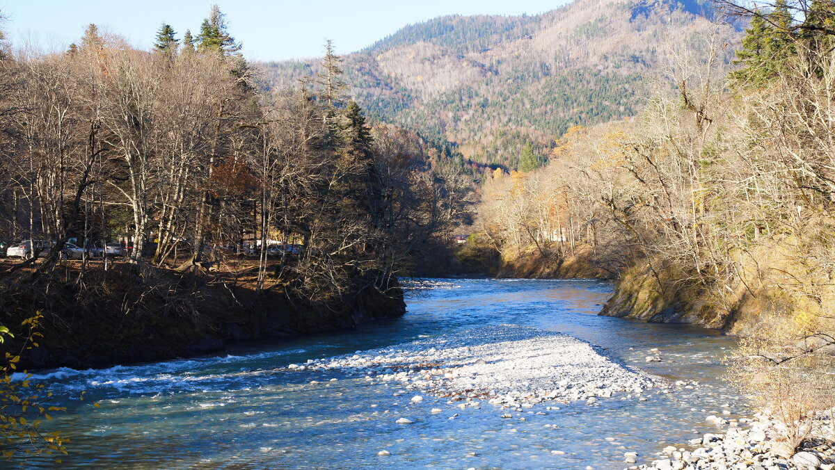 Гузерипль - Сергей Запорожцев