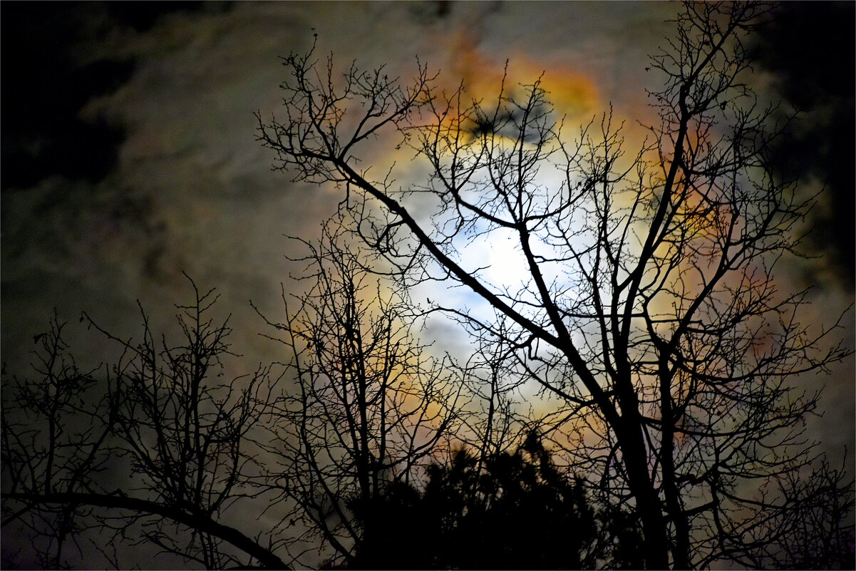 ОСЕНЬ - Юрий Владимирович 34 ОСЕНЬ - Юрий Владимирович 34