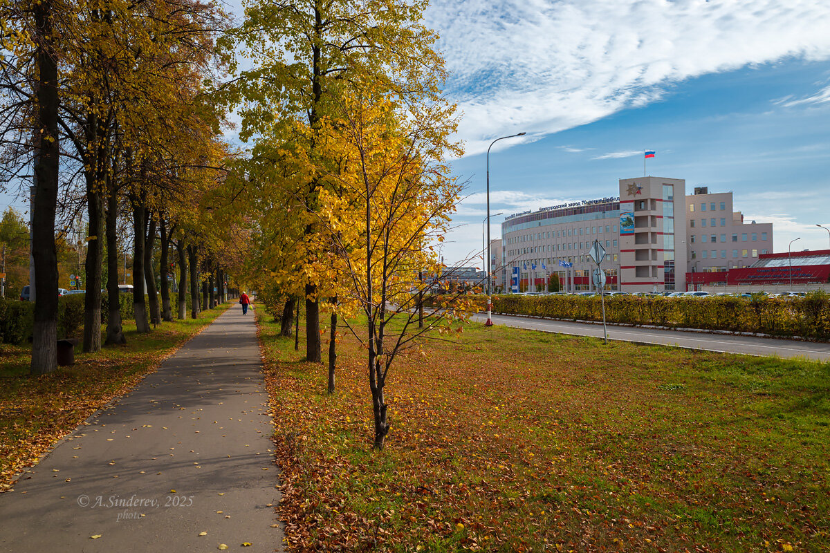 Аллея около завода - Александр Синдерёв