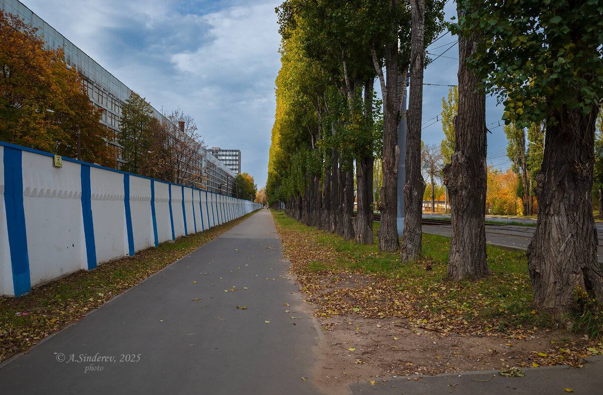 Вдоль забора - Александр Синдерёв