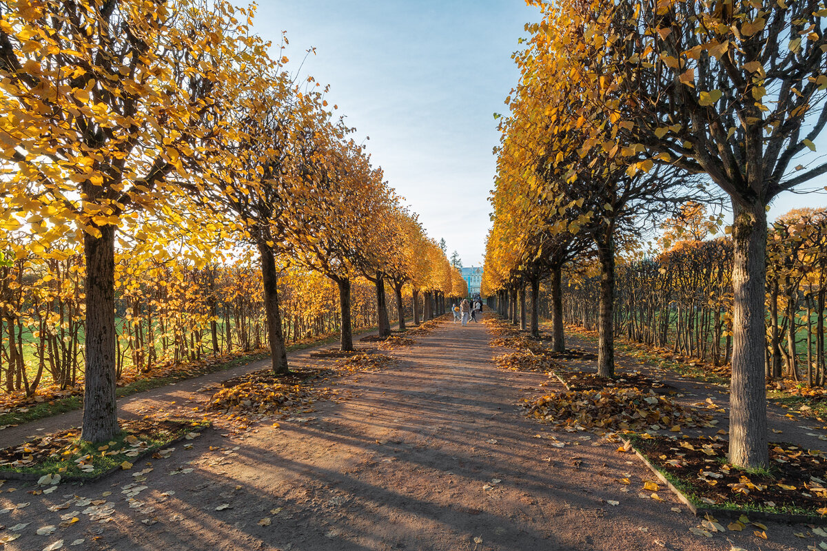 *** - Александр Кислицын