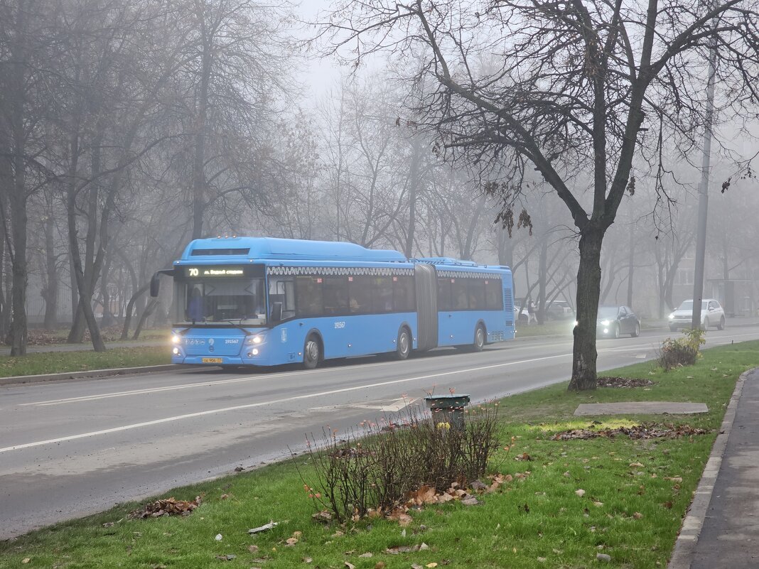 Улица в тумане - Мария Яковлева Улица в тумане - Мария Яковлева