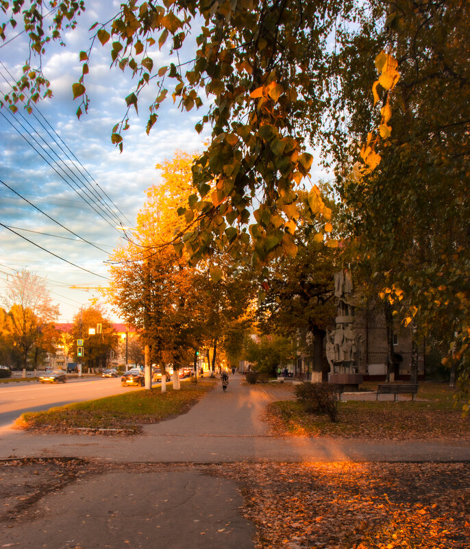 Осень на улице Брянской Пролетарской Дивизии - Sergei Vikulov