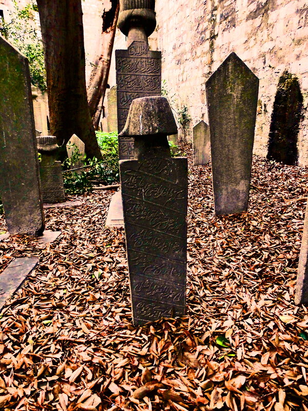 Стамбул - 43 - Артём Кузнецов