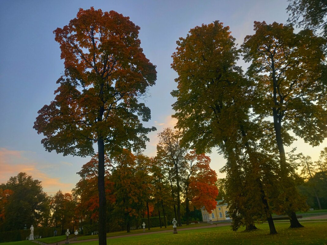 Рассвет - Сапсан 