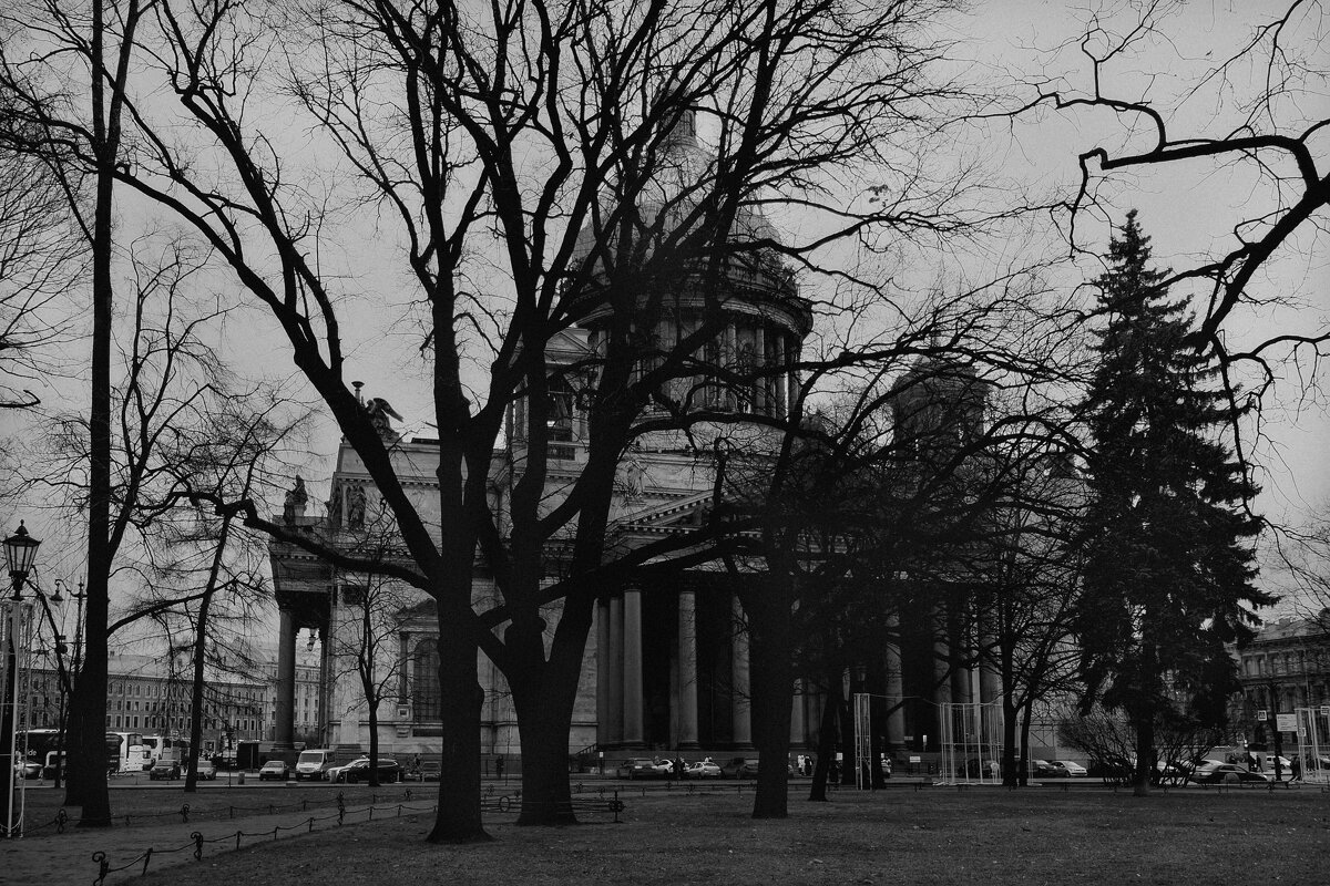 Черный пес Петербург - Александр 