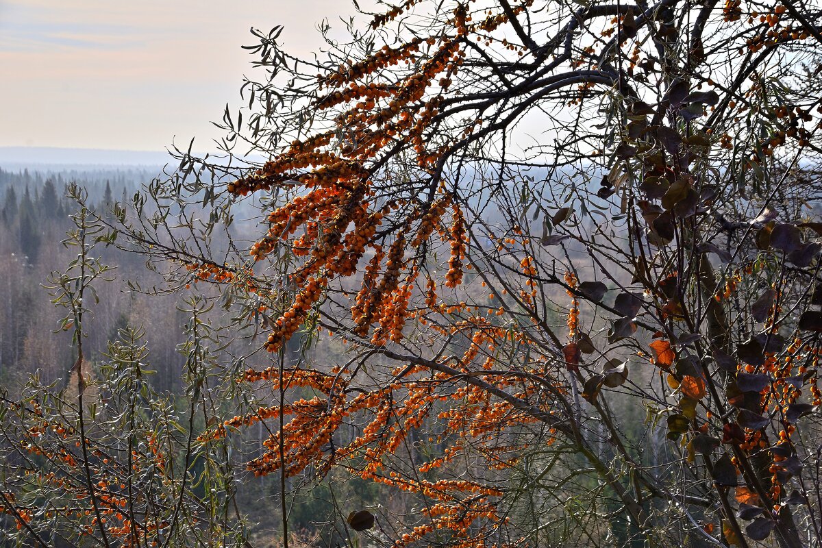 - - Владимир Мигонькин