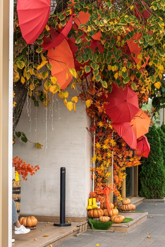 Осенний мотив - Игорь Сикорский