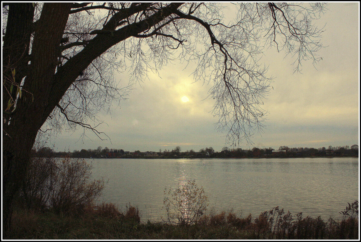 Прищел ноябрь... - Aleksandr Gal Прищел ноябрь... - Aleksandr Gal