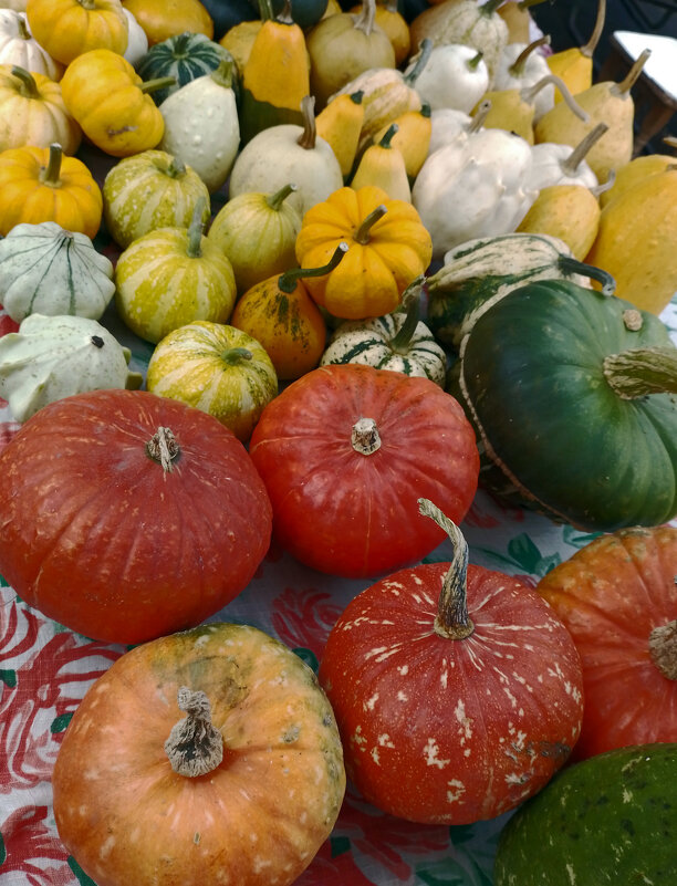 *** - Валентина Береснева