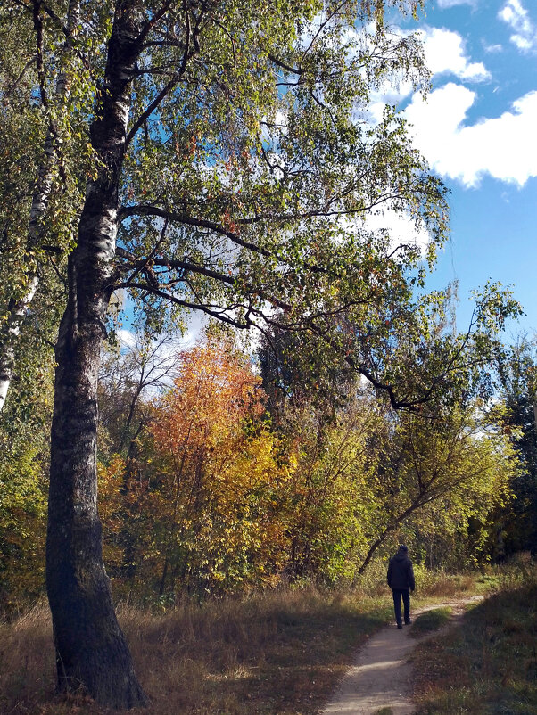 *** - Валентина Береснева