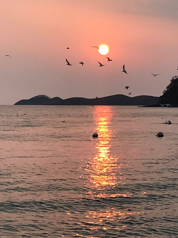 Закаты и восходы - Елена Семигина