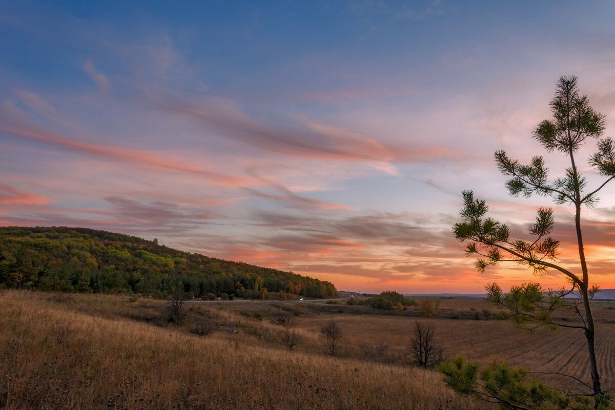 В тишине заката - Наталья Димова