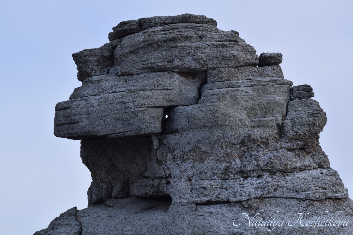 Природа Крыма - Amazing Cosmea