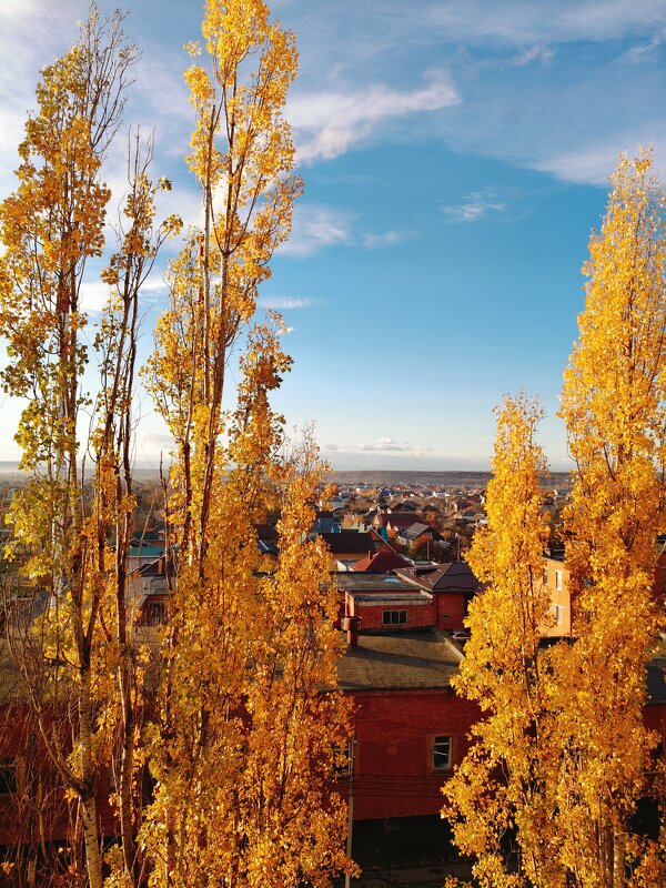 Осень золотая...Вид с балкона... - tatyana 