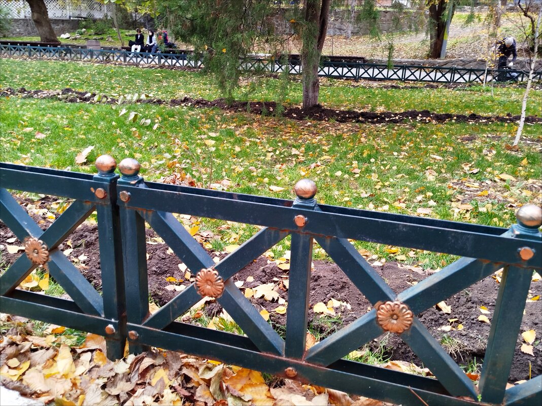 В парке! - Надежда 