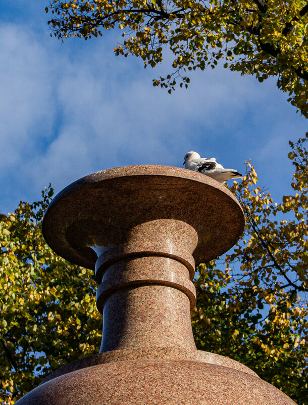 Вот такая поилочка! - Ирина Соловьёва