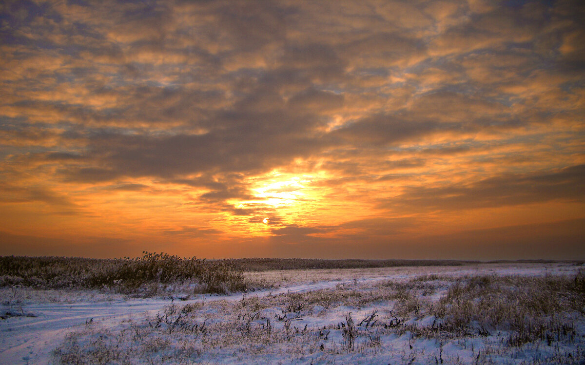 Зимний вечер. - Александр 