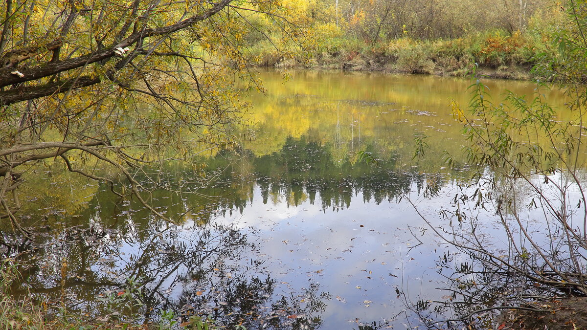 Отражение золотой осени - Нина северянка
