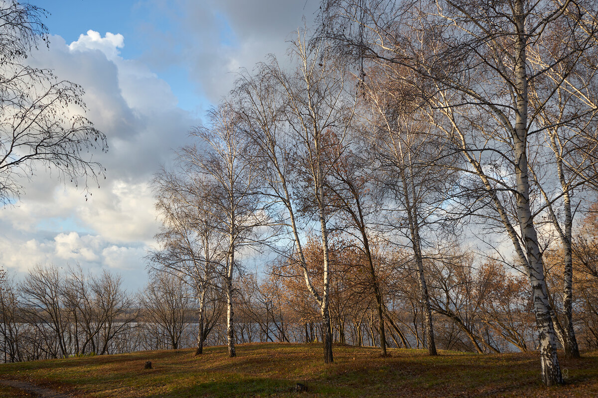 В парке над Волгой - Олег Манаенков