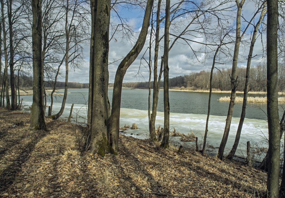 Лесное озеро . - Александр Иванович Шитов