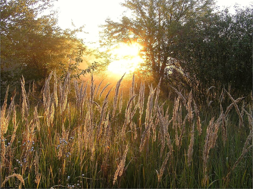 Бабье лето - Геннадий Худолеев Худолеев