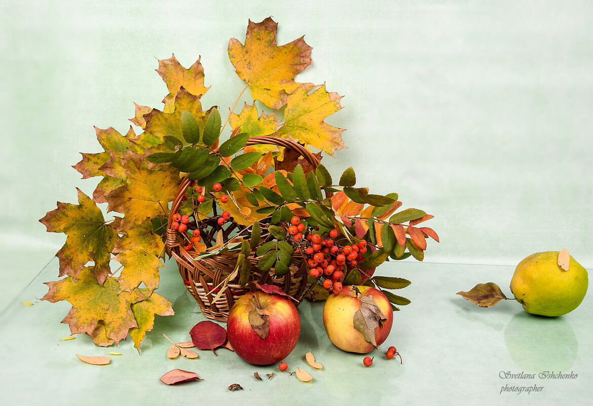 Осенний натюрморт - Светлана Ищенко