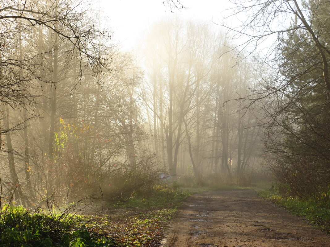 Дорога в туман - Андрей Снегерёв