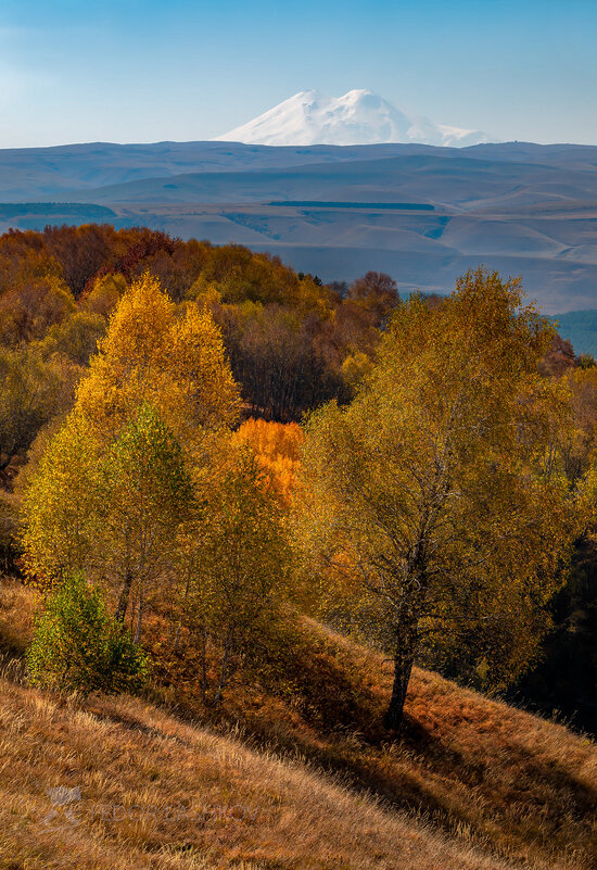 Кисловодский парк - Фёдор. Лашков
