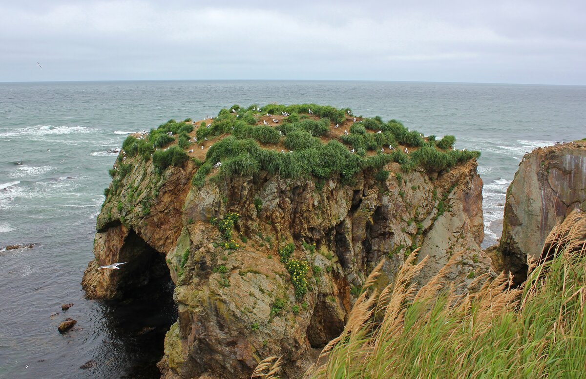 Особый рельеф - Владимир Соколов (svladmir)
