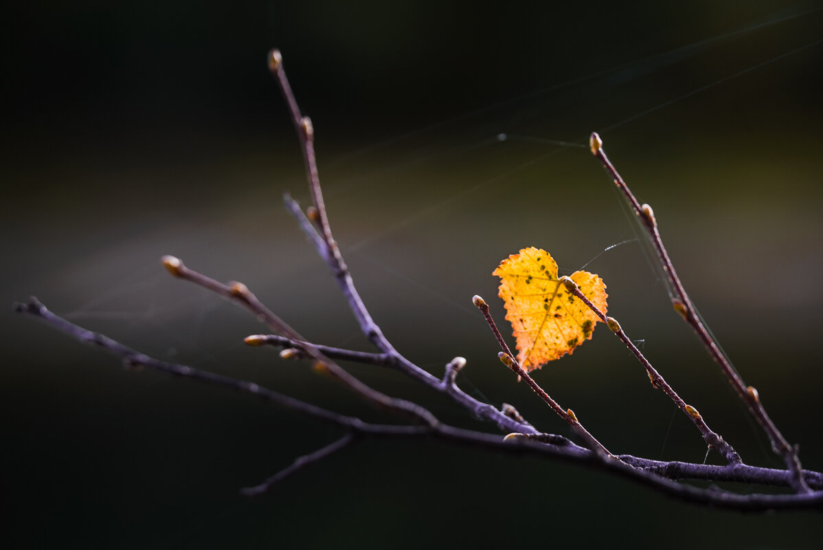 ... - Жора Житников