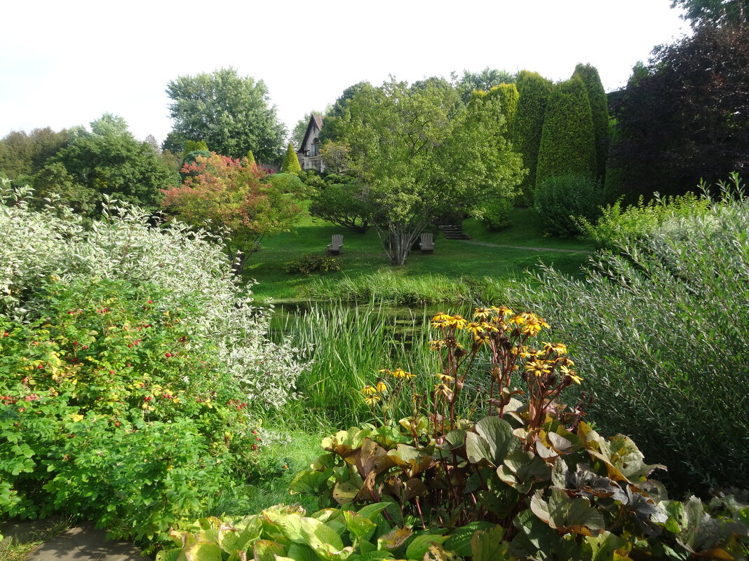 Усадьба Ореховно - Лидия Бусурина